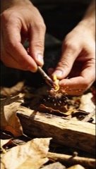 Wilderness survival documentary reference image 2